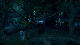 Dhruv Tara - 3rd March 2023